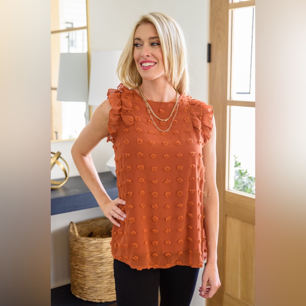 Swiss dot top, ruffle sleeves, keyhole detail, NWT, Size Small, Hailey & Co.